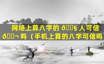 网络上算八字的 🐧 人可信 🐬 吗（手机上算的八字可信吗）